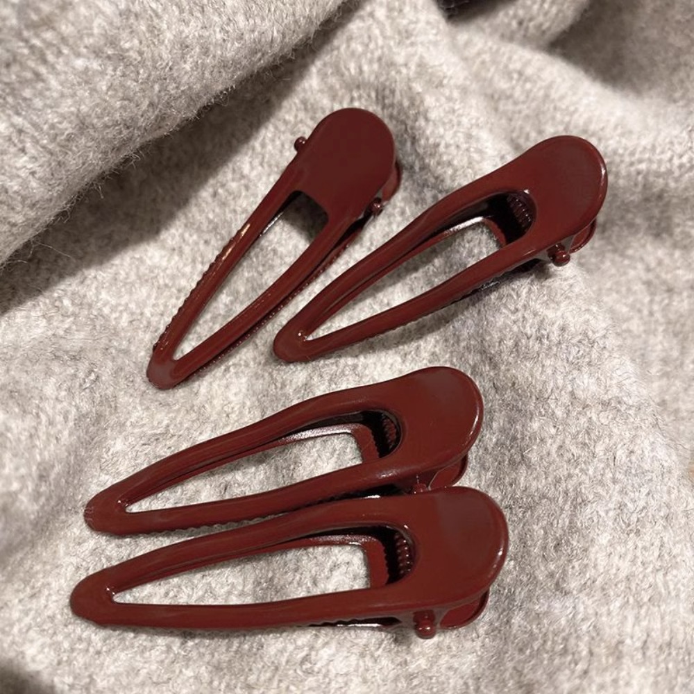 2 fermagli per capelli, fermag - Hair Clips recensione e prezzo